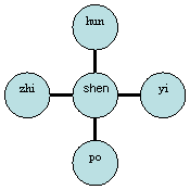 Diagramma radiale